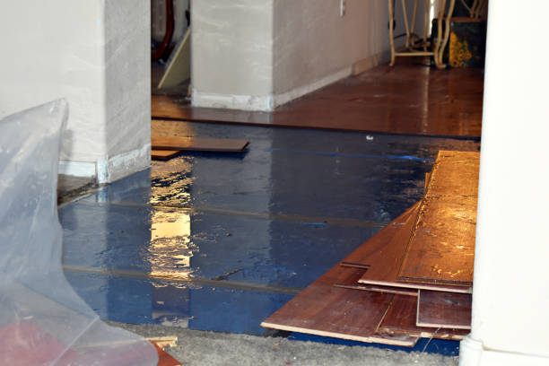 Professional Water Damage Restoration technician working in Dunlevy, PA